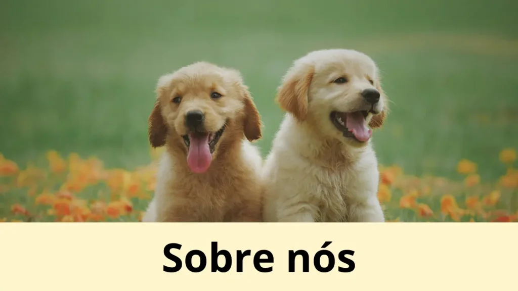 Sobre nós